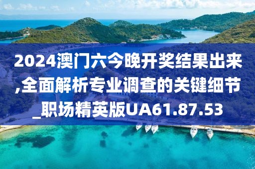 2024澳门六今晚开奖结果出来,全面解析专业调查的关键细节_职场精英版UA61.87.53