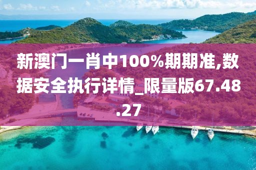 新澳门一肖中100%期期准,数据安全执行详情_限量版67.48.27