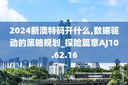 2024新澳特码开什么,数据驱动的策略规划_探险篇章AJ10.62.16