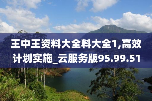 王中王资料大全料大全1,高效计划实施_云服务版95.99.51