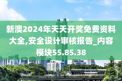 新澳2024年天天开奖免费资料大全,安全设计审核报告_内容模块55.85.38