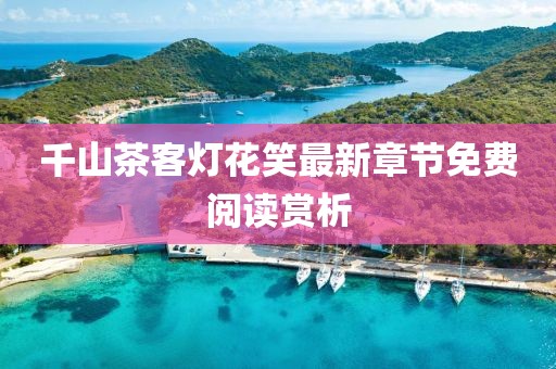 千山茶客灯花笑最新章节免费阅读赏析