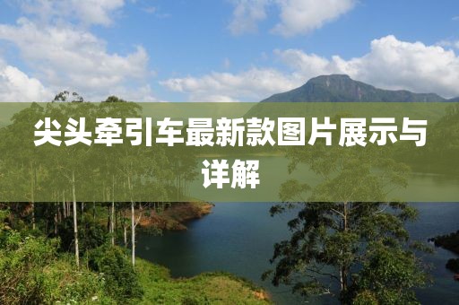 尖头牵引车最新款图片展示与详解