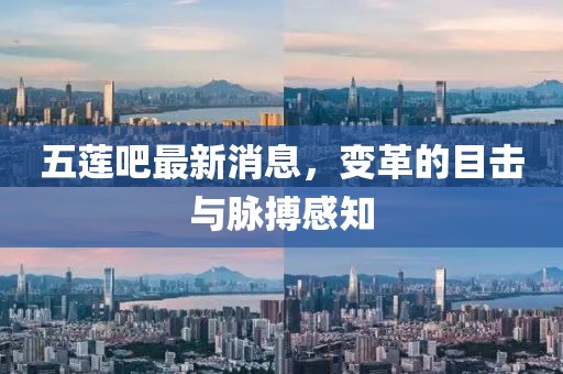 五莲吧最新消息，变革的目击与脉搏感知