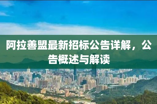 阿拉善盟最新招标公告详解，公告概述与解读