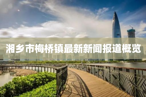 湘乡市梅桥镇最新新闻报道概览