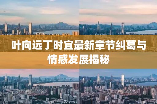 叶向远丁时宜最新章节纠葛与情感发展揭秘