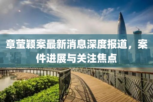 章莹颖案最新消息深度报道，案件进展与关注焦点