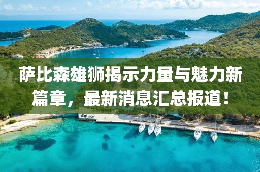 萨比森雄狮揭示力量与魅力新篇章，最新消息汇总报道！