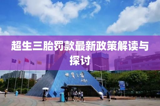超生三胎罚款最新政策解读与探讨