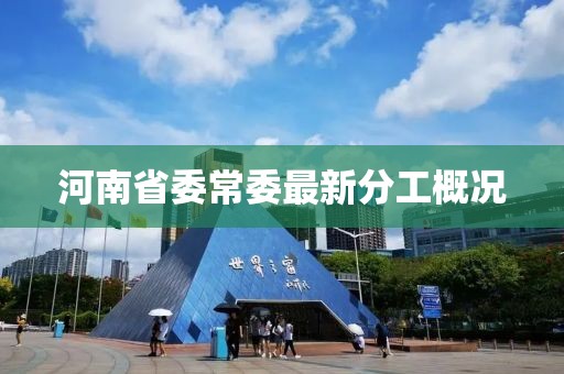 河南省委常委最新分工概况
