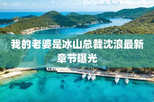 我的老婆是冰山总裁沈浪最新章节曝光