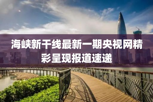海峡新干线最新一期央视网精彩呈现报道速递