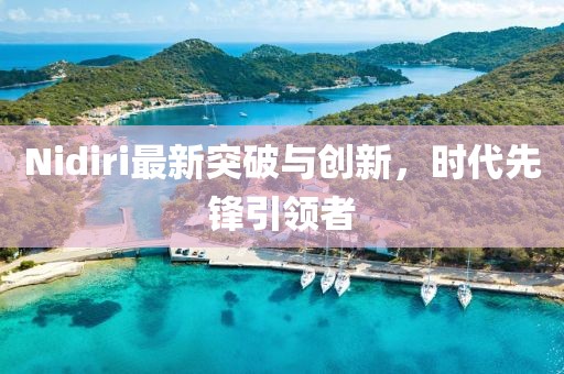 Nidiri最新突破与创新，时代先锋引领者