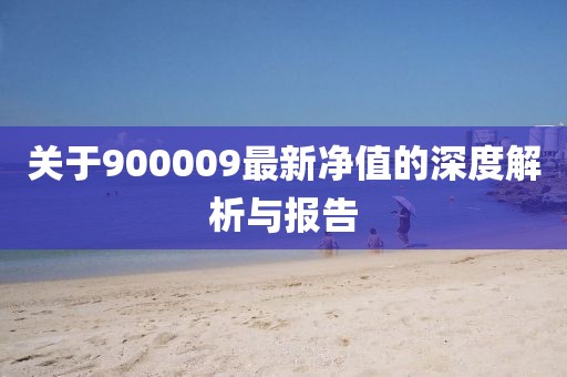 关于900009最新净值的深度解析与报告