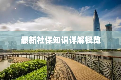 最新社保知识详解概览