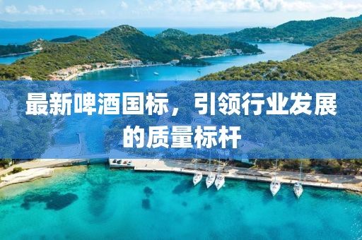 最新啤酒国标，引领行业发展的质量标杆