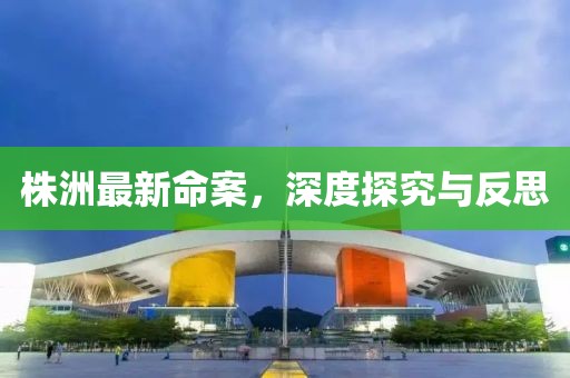 株洲最新命案，深度探究与反思