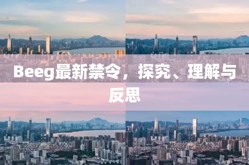 Beeg最新禁令，探究、理解与反思