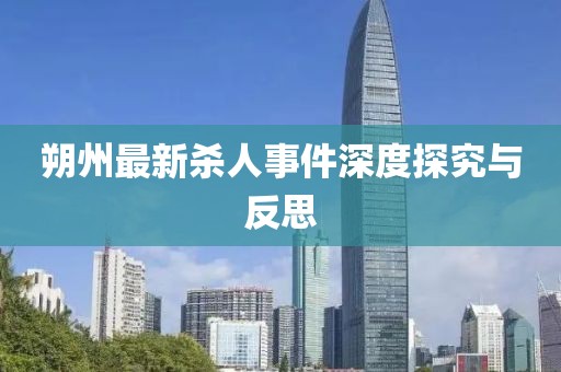 朔州最新杀人事件深度探究与反思
