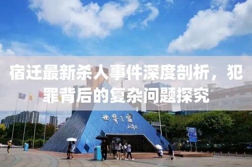 宿迁最新杀人事件深度剖析，犯罪背后的复杂问题探究