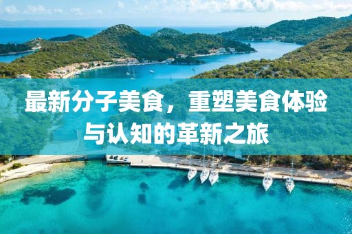 最新分子美食，重塑美食体验与认知的革新之旅