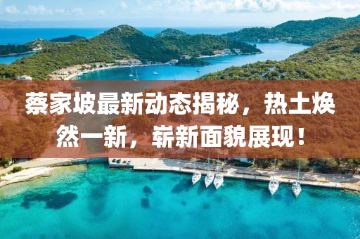 蔡家坡最新动态揭秘，热土焕然一新，崭新面貌展现！
