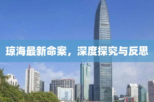 琼海最新命案，深度探究与反思