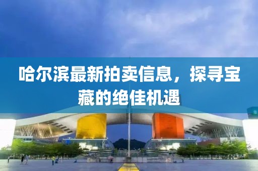 哈尔滨最新拍卖信息，探寻宝藏的绝佳机遇