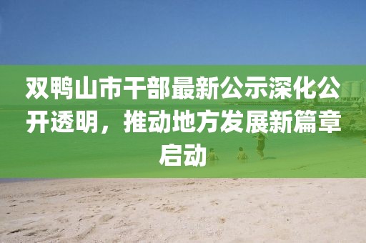 双鸭山市干部最新公示深化公开透明，推动地方发展新篇章启动