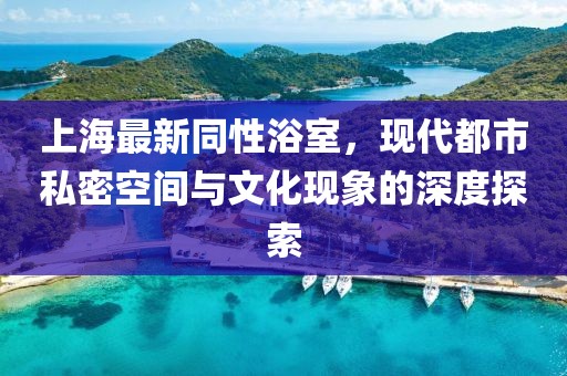 上海最新同性浴室，现代都市私密空间与文化现象的深度探索
