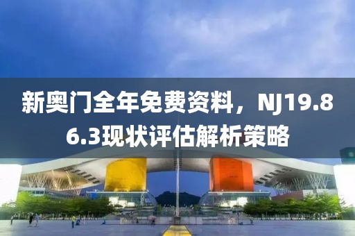 新奥门全年免费资料，NJ19.86.3现状评估解析策略