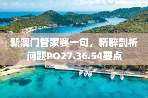 新澳门管家婆一句，精辟剖析问题PO27.36.54要点