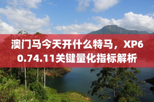 业务范围 第523页
