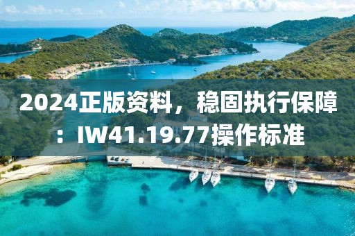 2024正版资料，稳固执行保障：IW41.19.77操作标准