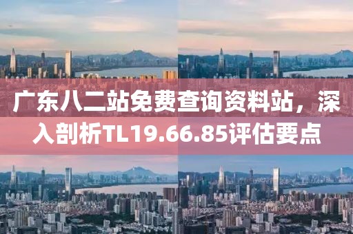 广东八二站免费查询资料站，深入剖析TL19.66.85评估要点