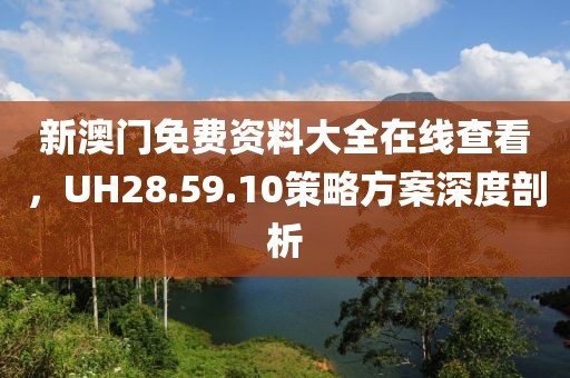 新澳门免费资料大全在线查看，UH28.59.10策略方案深度剖析