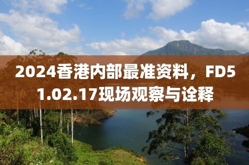 2024香港内部最准资料，FD51.02.17现场观察与诠释