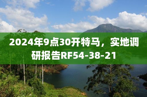 2024年9点30开特马，实地调研报告RF54-38-21