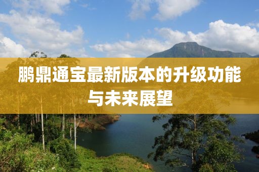 鹏鼎通宝最新版本的升级功能与未来展望