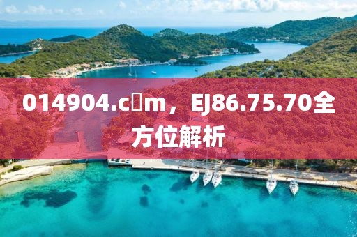 014904.c蟽m，EJ86.75.70全方位解析