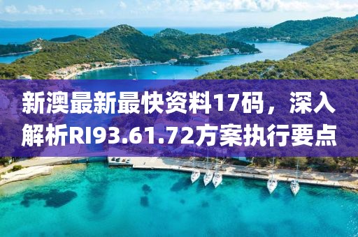 新澳最新最快资料17码，深入解析RI93.61.72方案执行要点