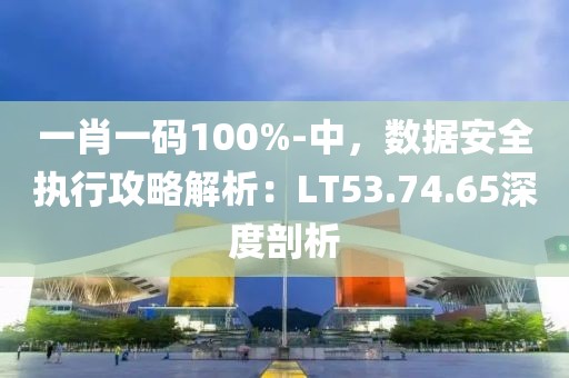 一肖一码100%-中，数据安全执行攻略解析：LT53.74.65深度剖析