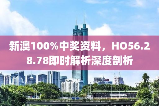 新澳100%中奖资料，HO56.28.78即时解析深度剖析