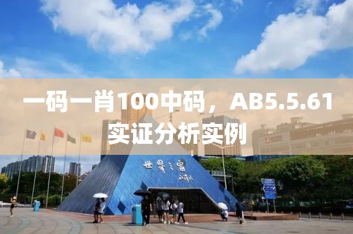 一码一肖100中码，AB5.5.61实证分析实例