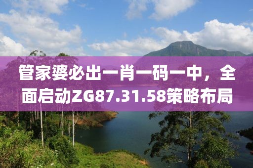 管家婆必出一肖一码一中，全面启动ZG87.31.58策略布局