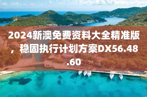 2024新澳免费资料大全精准版，稳固执行计划方案DX56.48.60