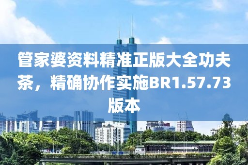 管家婆资料精准正版大全功夫茶，精确协作实施BR1.57.73版本
