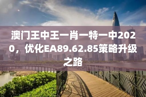 澳门王中王一肖一特一中2020，优化EA89.62.85策略升级之路