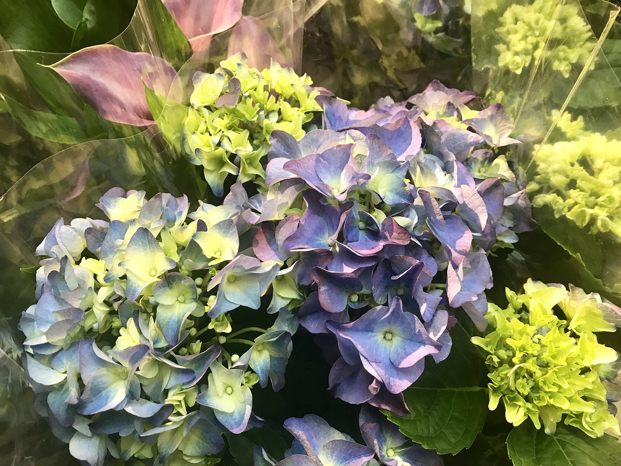 天平男最新动态揭秘，现代都市中的独特魅力探索